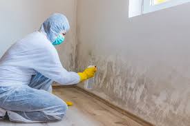 Best Mold Prevention Services in USA