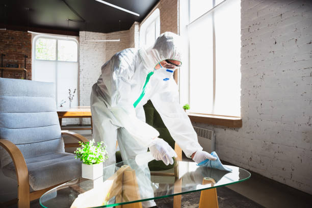 Best Industrial Mold Remediation in USA